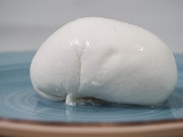 mozzarella 500 gr