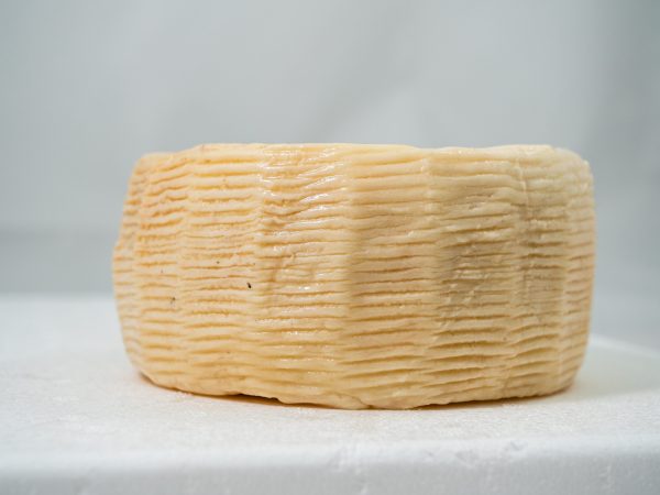 pecorino semi stagionato