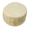 pecorino fresco